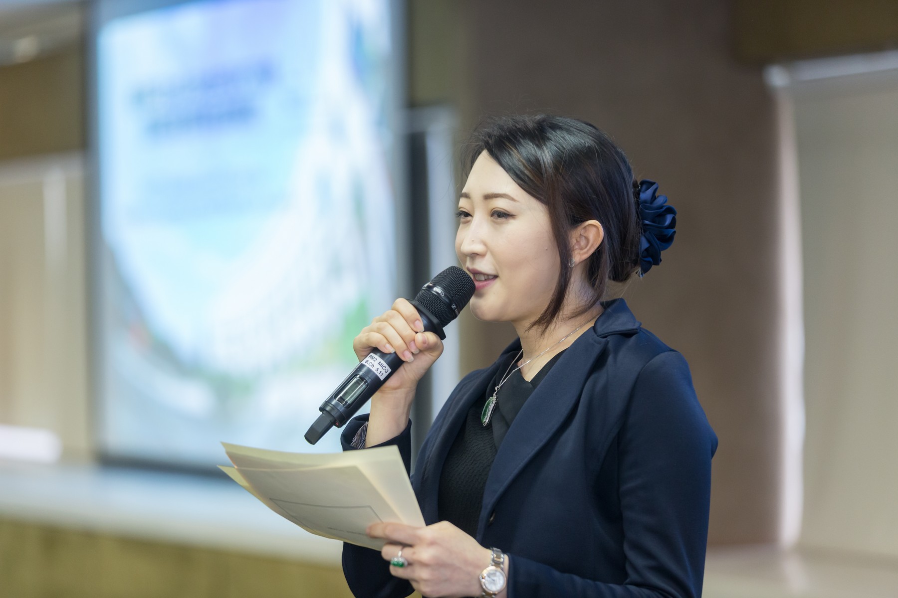 mai_aa_ina_cer_p18362_04_010.jpg